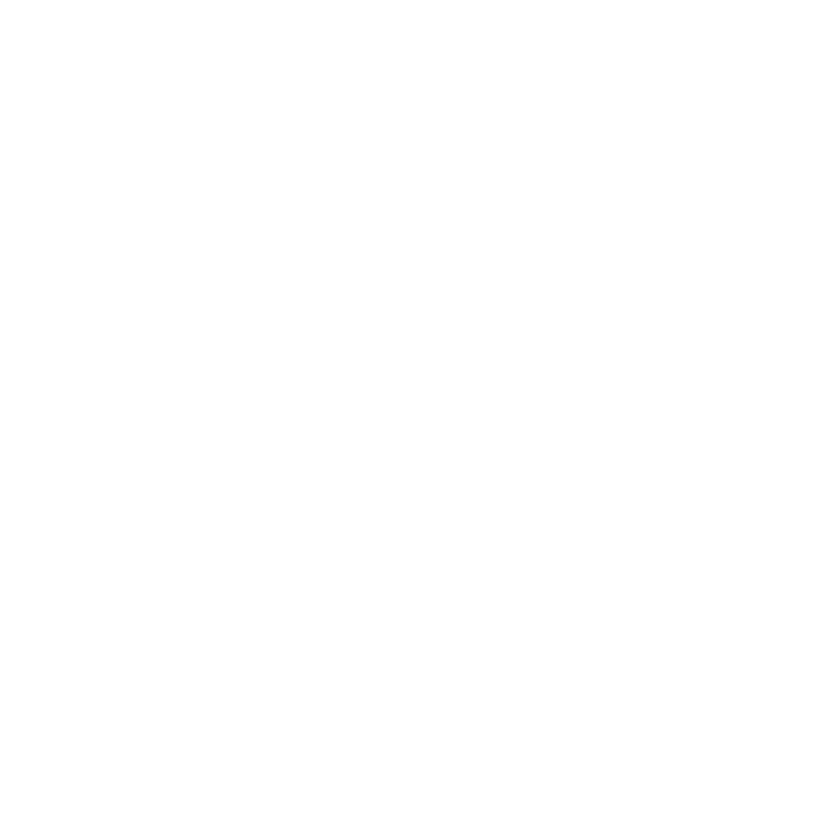Centurion Fitness logo